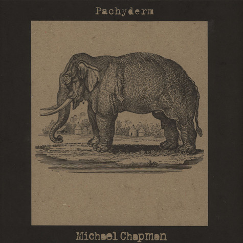 Pachyderm