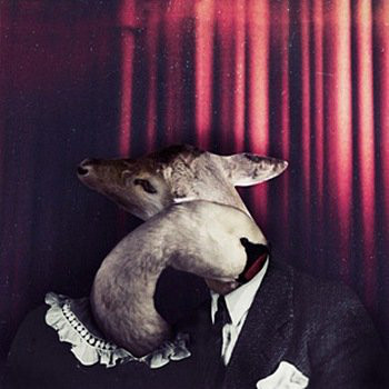Head + Heart - Digipak