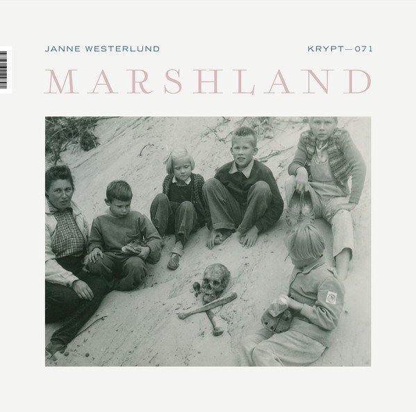 Marshland