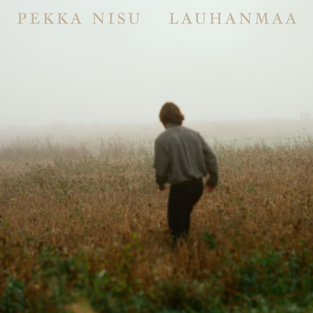Lauhanmaa | LP