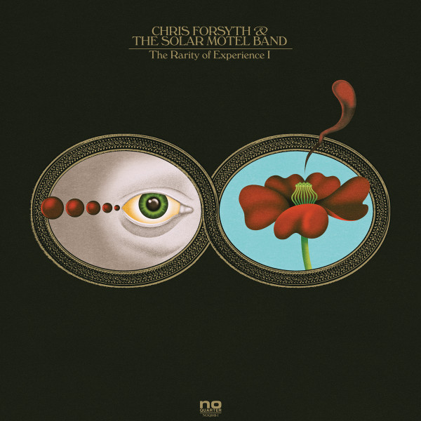 The Rarity of Experience | 2LP