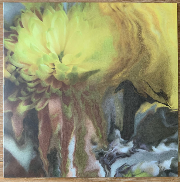 Wilderness Within You | LP