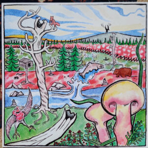 Jaakko Laitinen & Lapin lisä | LP