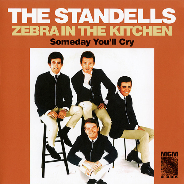 Zebra in the kitchen / someday you'll cry | 7"