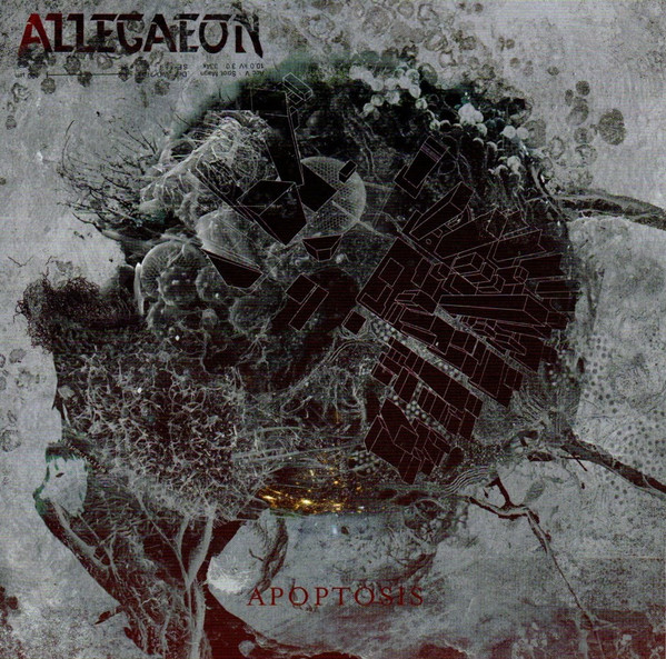 Apoptosis | CD