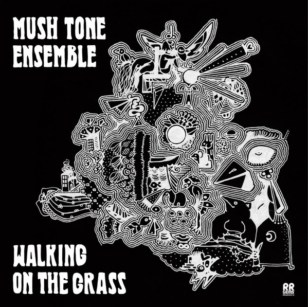 Walking on the Grass | LP