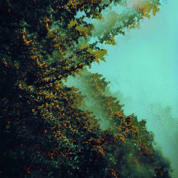 Caterpillars Of Creation | CD