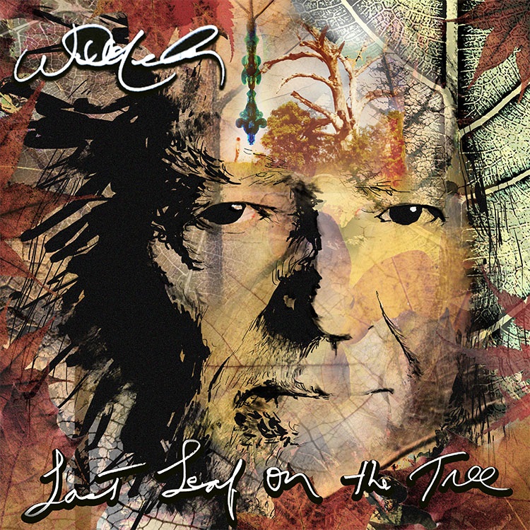 Last Leaf On The Tree | CD