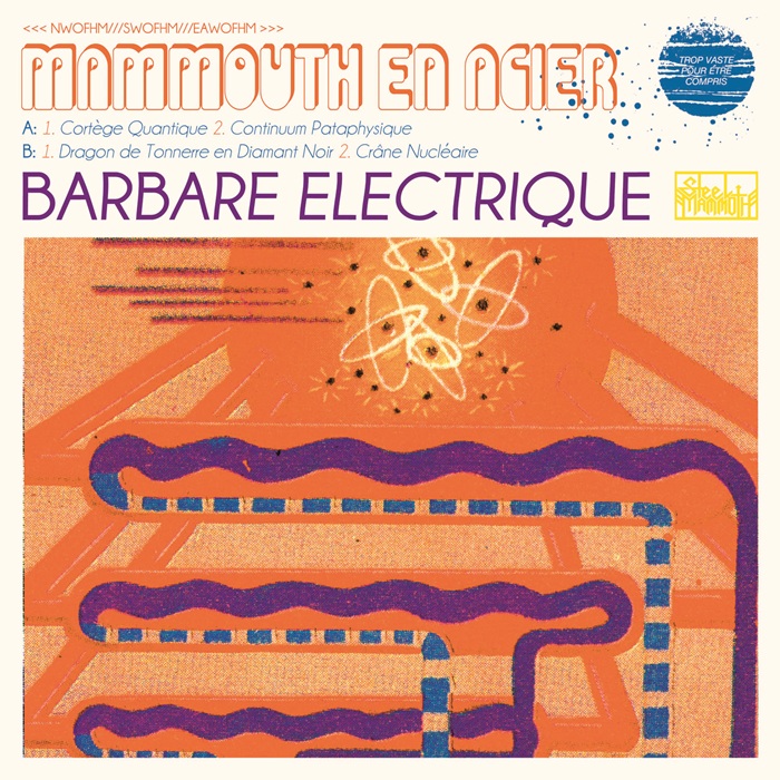 Barbare Electrique | LP