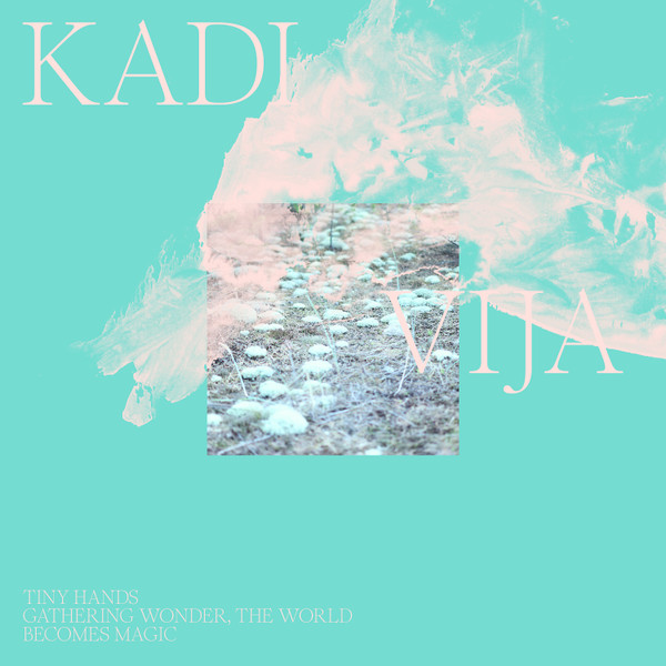 Tiny Hands Gathering Wonder, The World Becomes Magic | LP