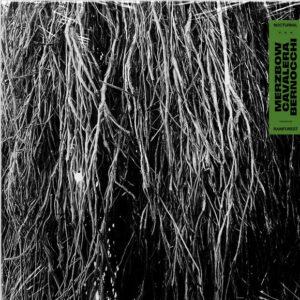 Rainforest | LP