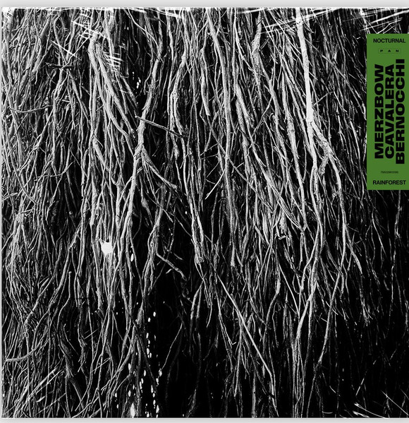 Rainforest | LP