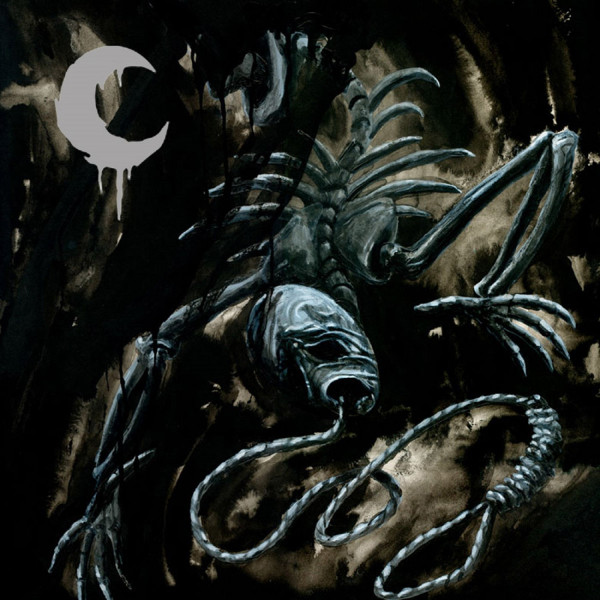 A Silhouette In Splinters | CD