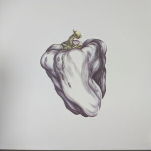 White Pepper | LP (Green)