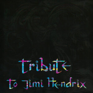 Tribute To Jimi Hendrix | LP
