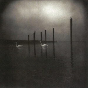 Conference Of The Birds | CD (Digisleeve)